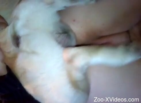 Needy woman moans for more when the dog humps her