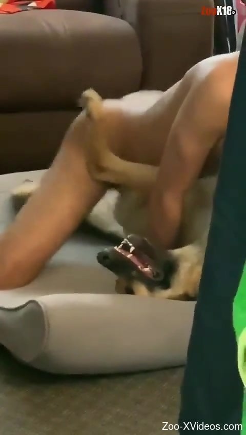Dude fucks a submissive dog in a really passionate scene