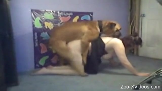 Pale babe getting destroyed by a twisted animal