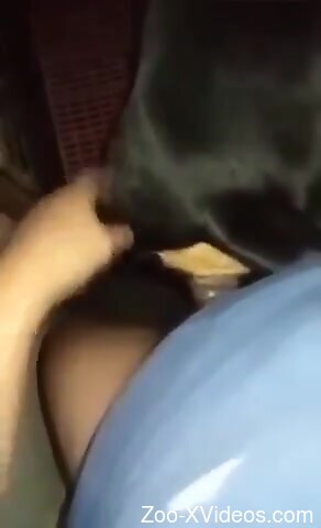 Dude is going to fuck a horny animal from behind