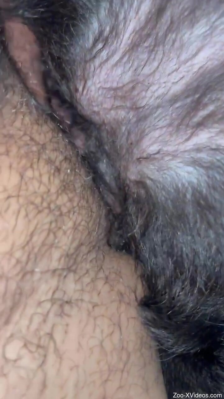 Man deep humps furry animal in the pussy for loud pleasures