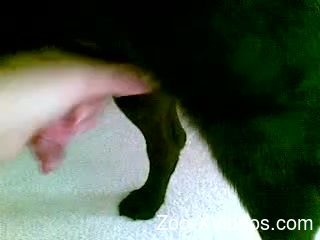 POV video featuring a chubby MILF and her sexy pet