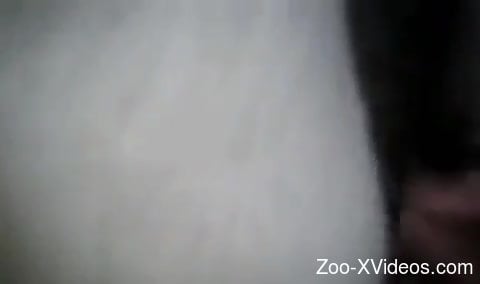 Hot zoophile penis dominating a tight hole up close