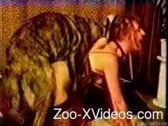 Dog fucks woman in the pussy during cam scenes