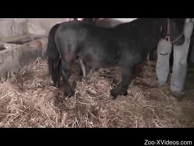 Aloud female gets her pussy demolished in harsh rounds