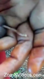 Dude lets this worm find its way inside his urethra