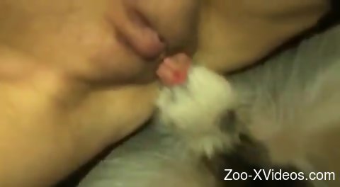 Insatiable zoophilic pussy getting fucked deeply