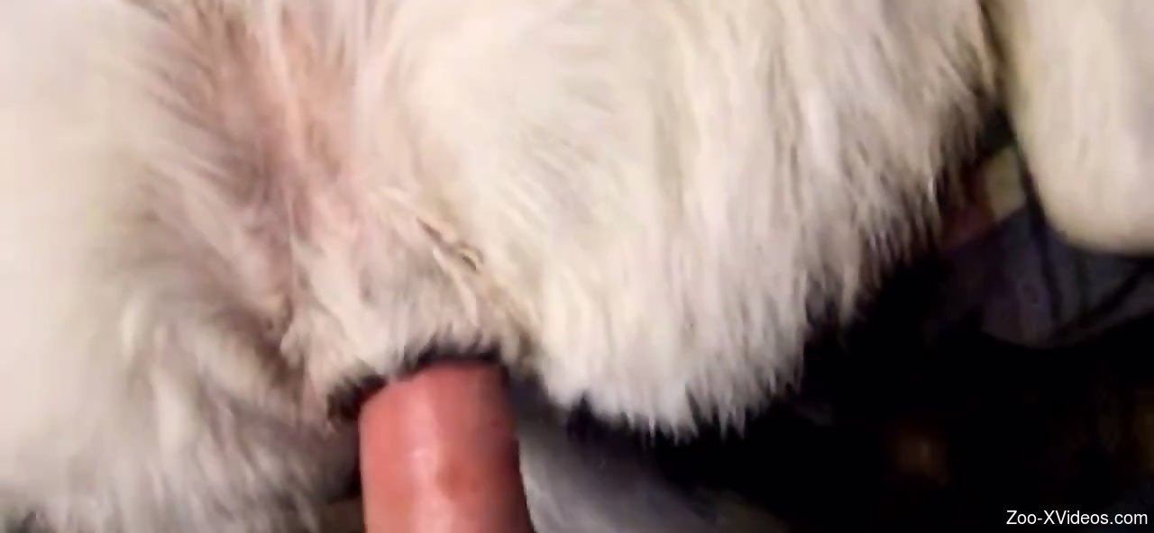 Tight hole getting gaped by a hard cock in POV