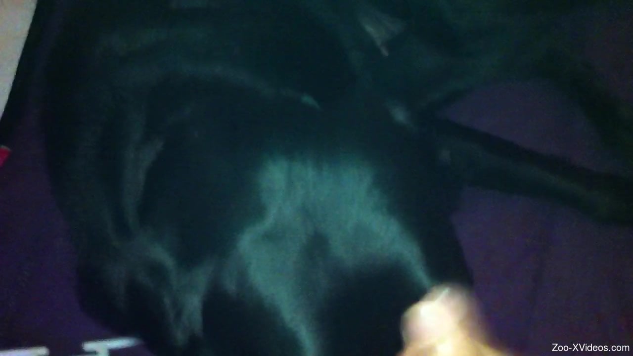 Sexy guy fucking an animal's mouth and being horny