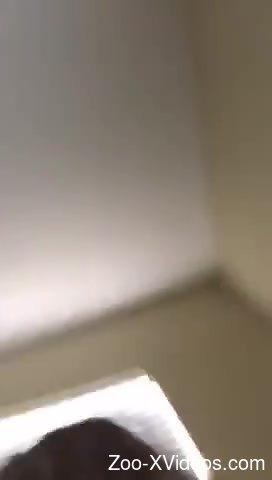 Chunky brunette getting licked by her small pooch