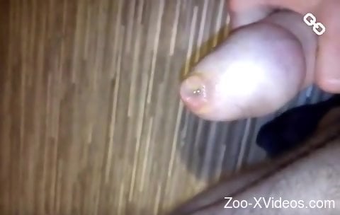 Solo man tries zoophilia in the most intriguing kinks