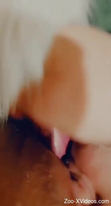 Tight mature feels endless dog dick hitting her G spot