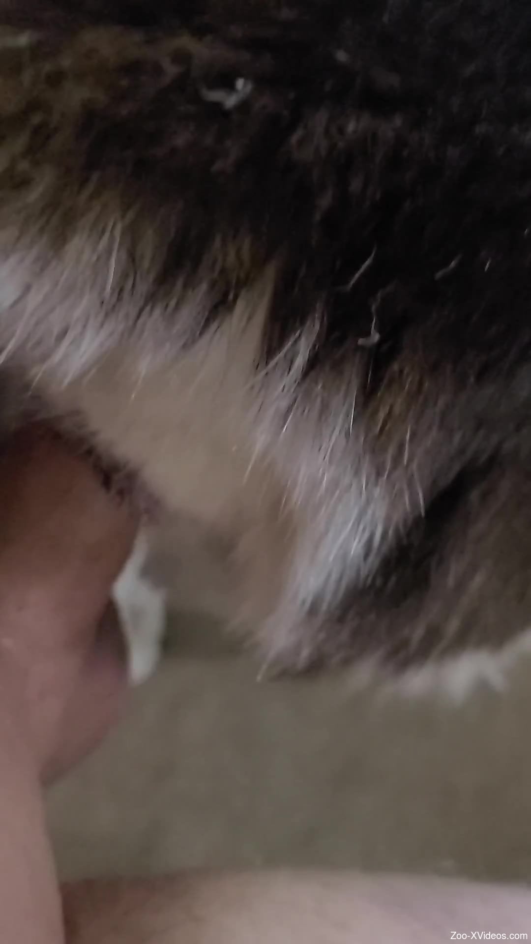 Horny guy's penis gets to destroy that tight hole