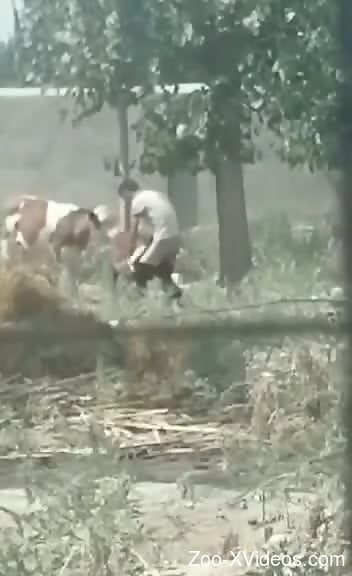 Dude pulls down his pants to fuck this dirty beast