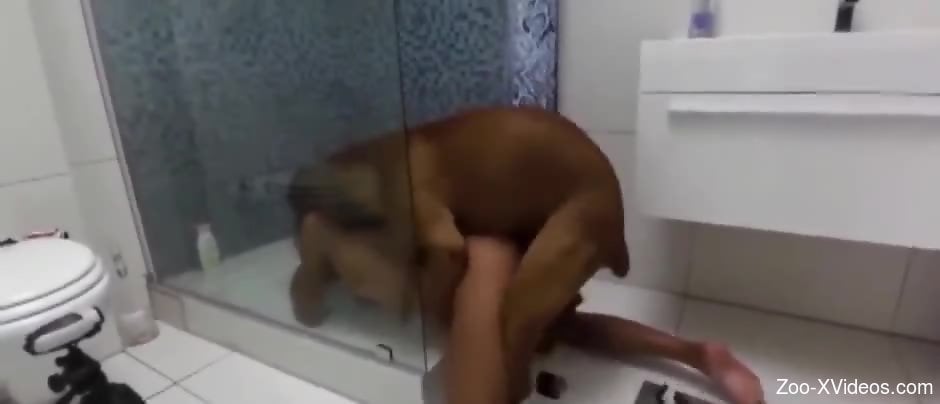 Skinny lady in a pink wig enjoying hardcore dog sex