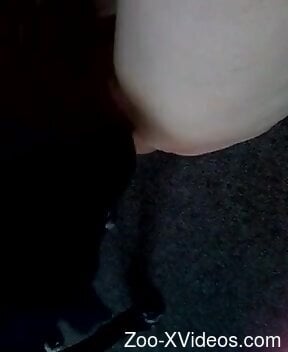 Sexy female inserts tasty dog dick in both pussy and ass