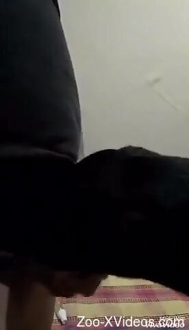 Nasty guy goes wild as he fucks a black beast HARD