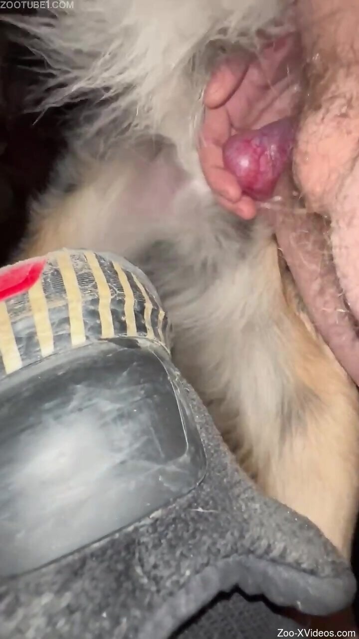 Man tries furry animal's big penis in the ass