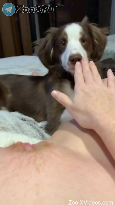 Sexy female loudly plays with the dog in sensual masturbation