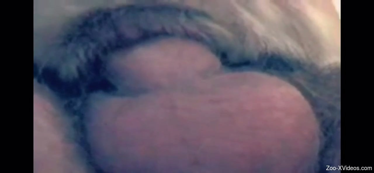 Dude fucking the tight pussy of his submissive dog