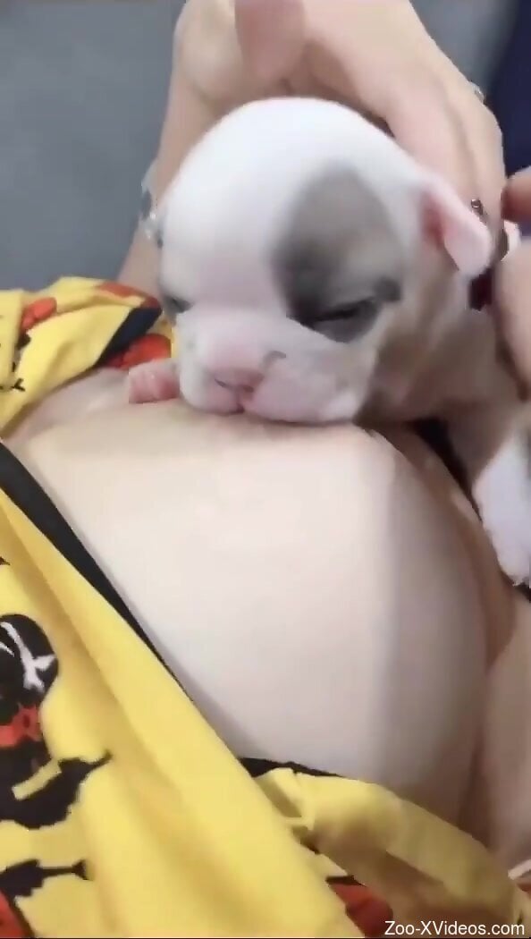 Little pup is also taking part in kinky zoo porn