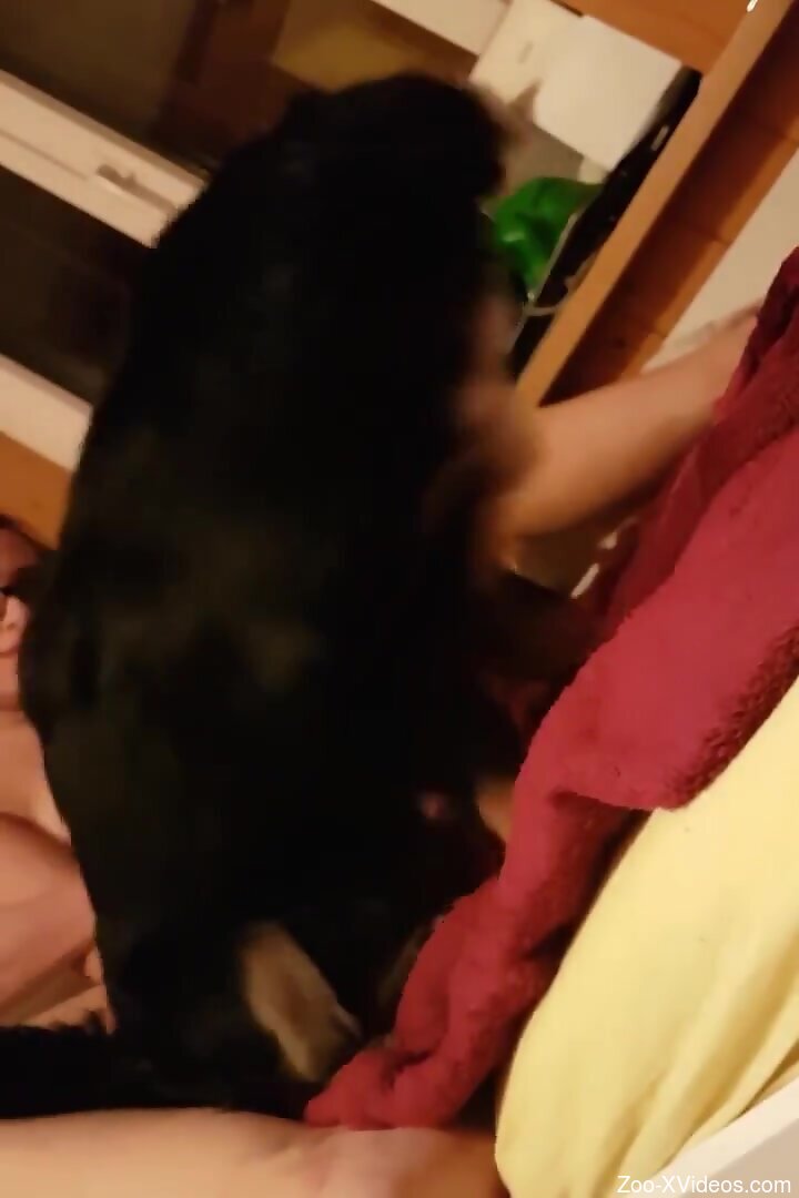 Sexy babe with sexy glasses wants dog dick inside