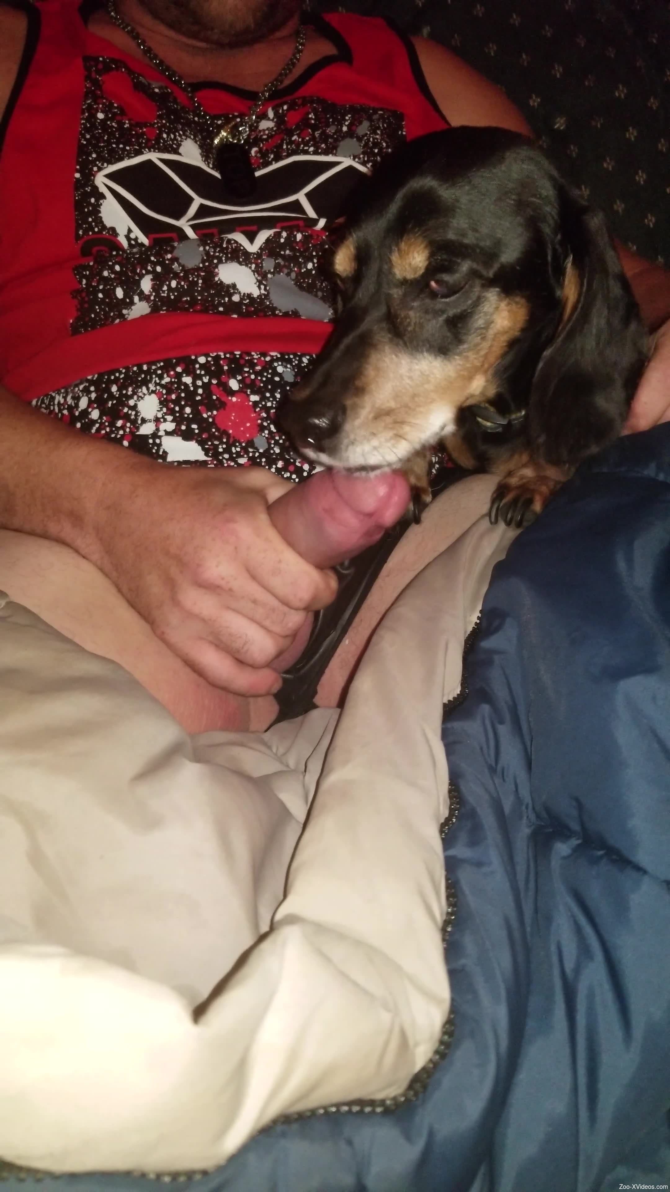 Dude lets a sexy animal suck on his beautiful cock