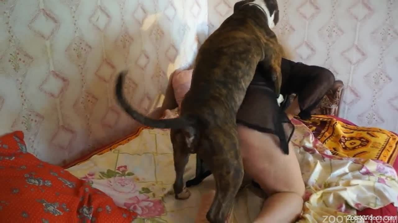 Muscled hardcore dog bangs a big-ass zoophile