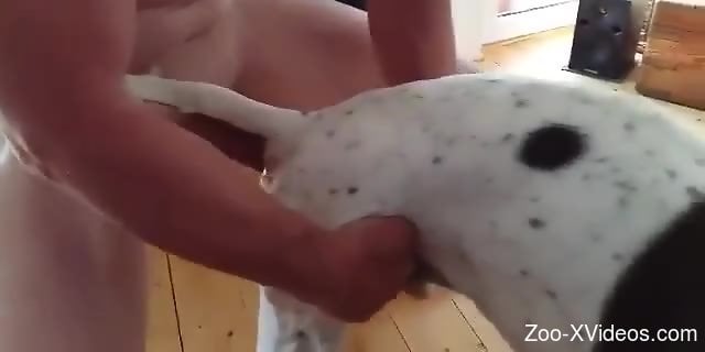 White dog is going to get blasted from behind