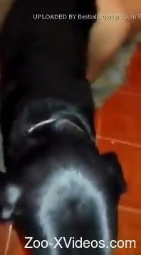 Brunette with a shapely ass gets fucked by a dog