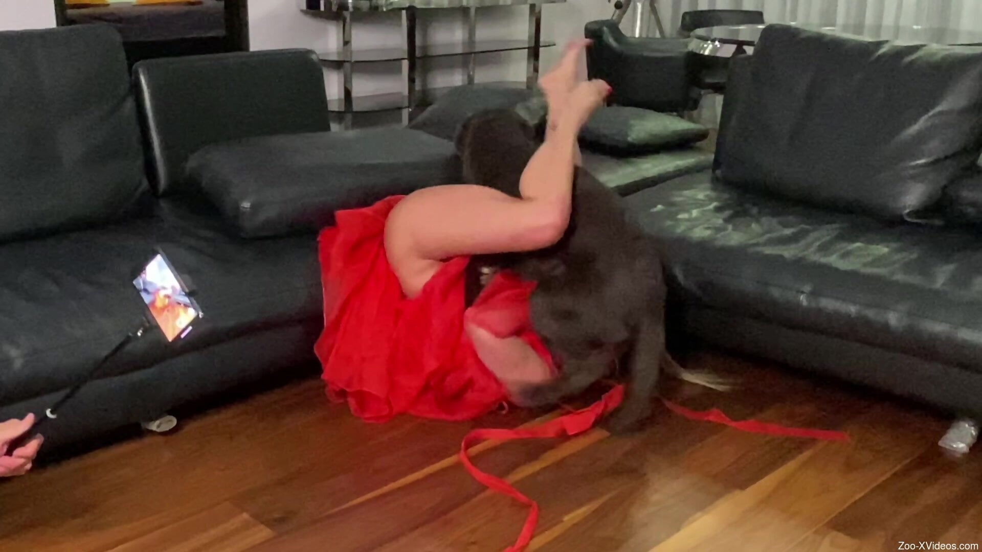 Perfect blonde with sexy ass tries dog cock for the first time