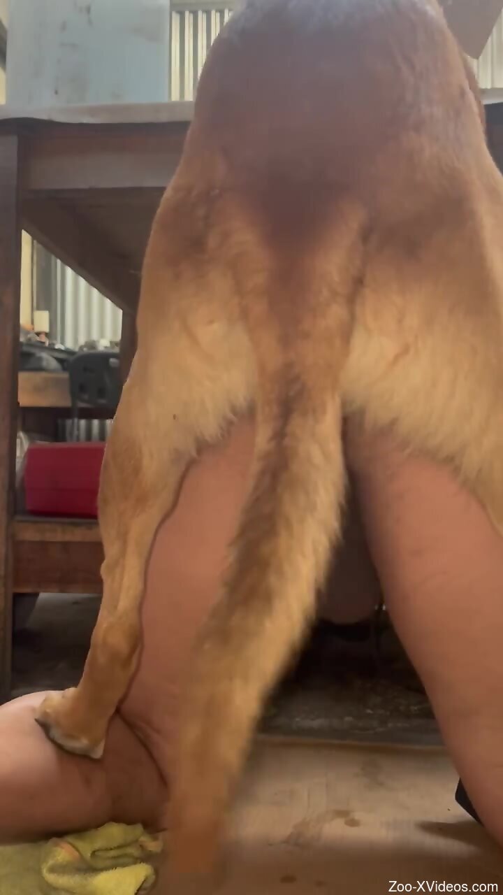 Phat ass of a zoophile showcased in a hot vid