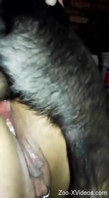 Wet pussy babe getting boned deep by a hot pooch