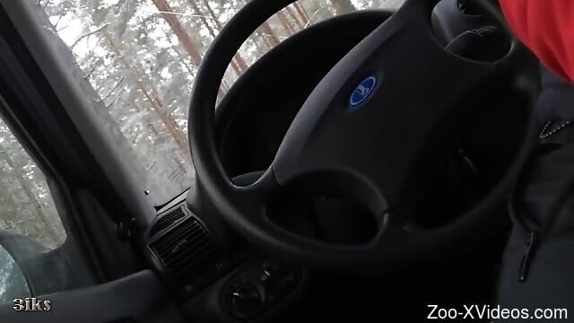 Dude jerks off behind the wheel and fucks his dog