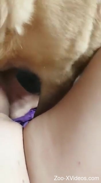 Aroused female enjoys dog dick in the pussy for dirty XXX