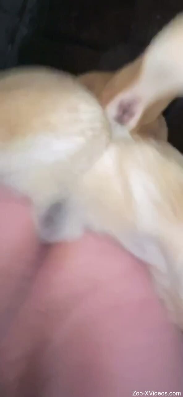 Tiny animal fucking her large pussy in a taboo mov