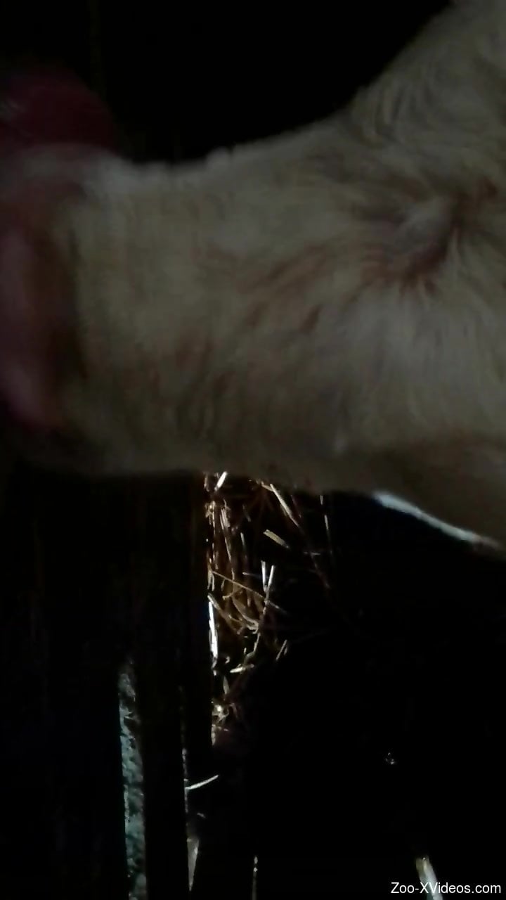 Furry animal makes gay man fully aroused in sloppy oral scenes