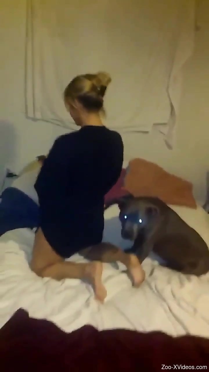 Perky booty babe getting licked and fucked by a mutt
