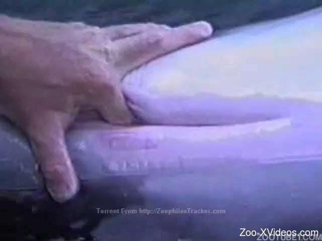 Watch how I am stimulating a tight pussy of a sexy wet dolphin