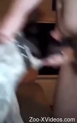 Oral session with a dog that sucks like a slut