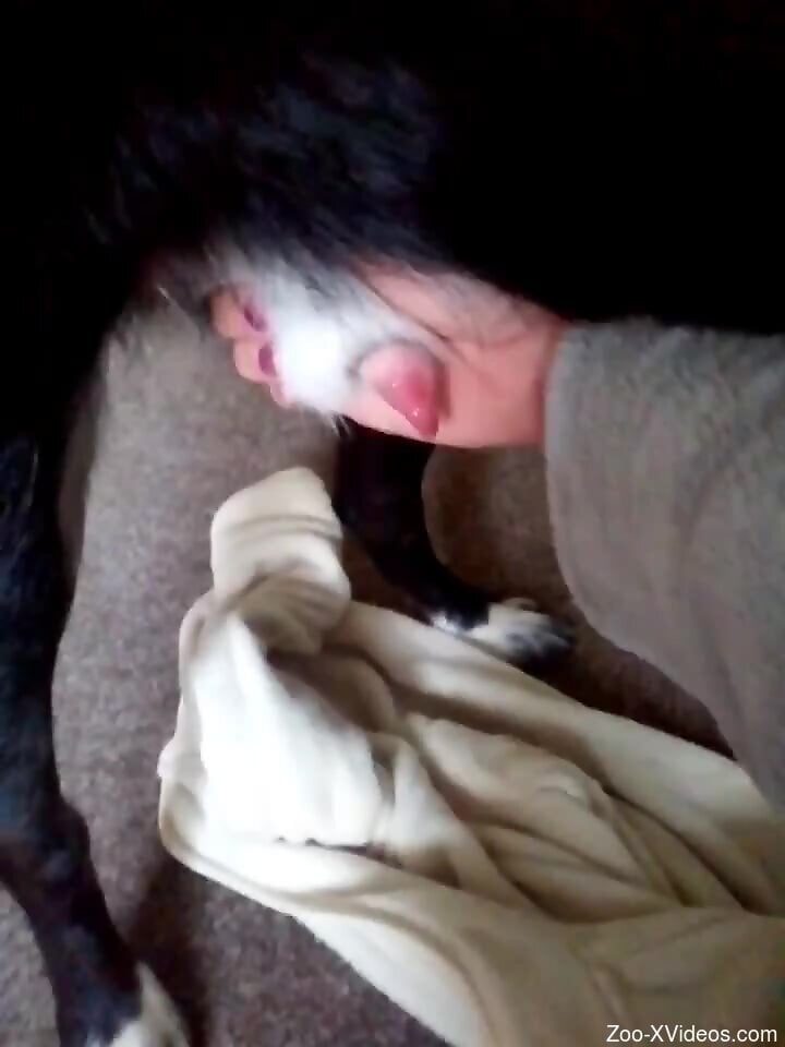 Animal penis shooting ropes after a nice handjob