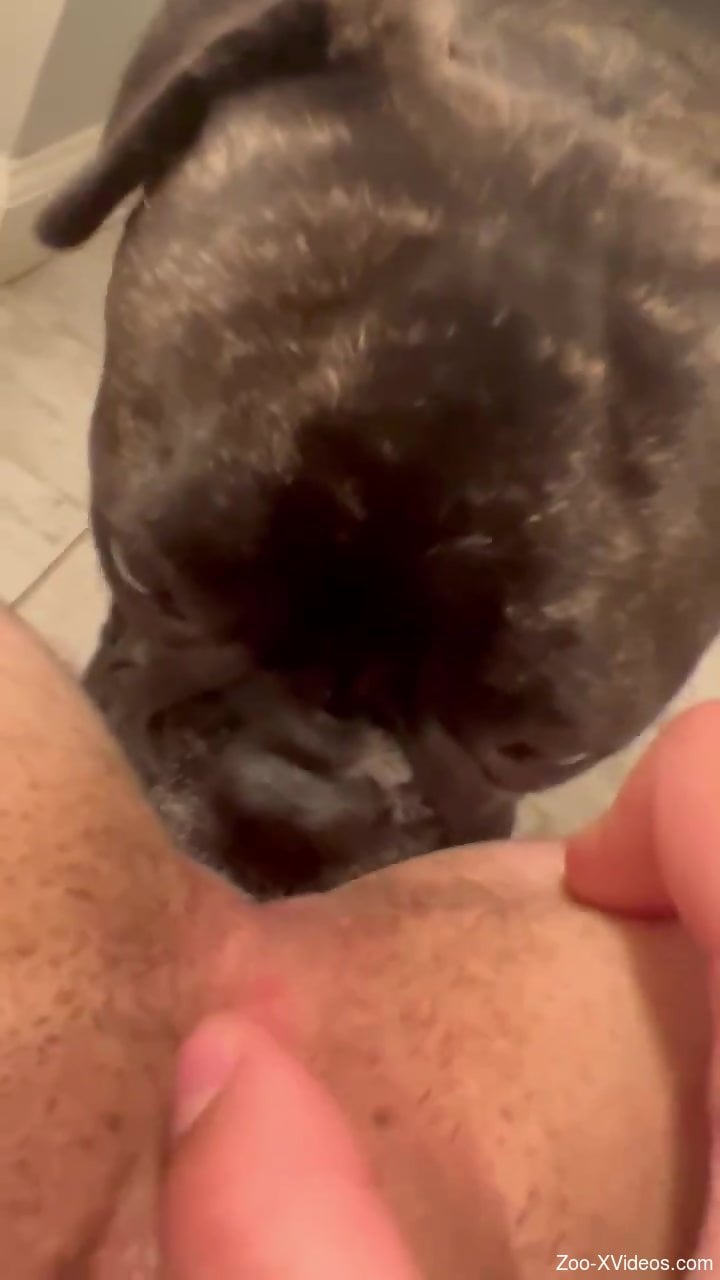 Real juicy hole getting licked by a twisted beast