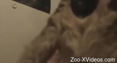 Man shares spicy moments when fucking his furry dog