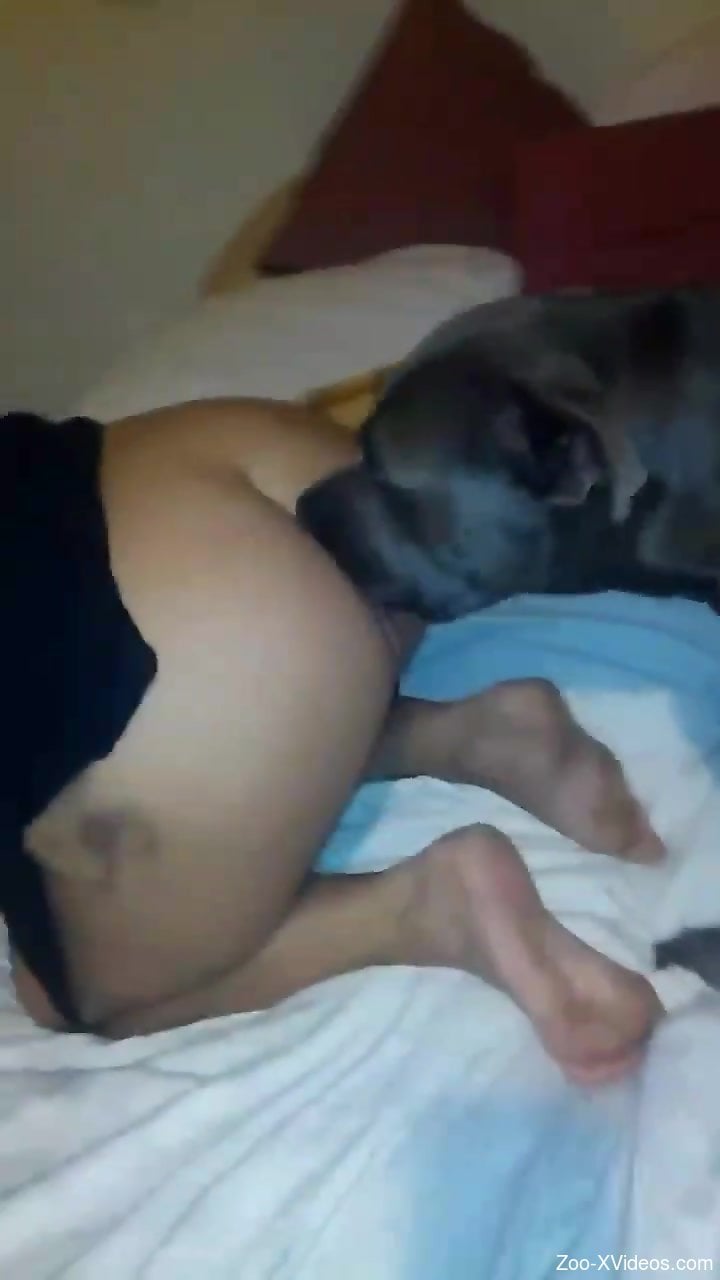 Energized blonde shares wonderful home zoophilia on cam