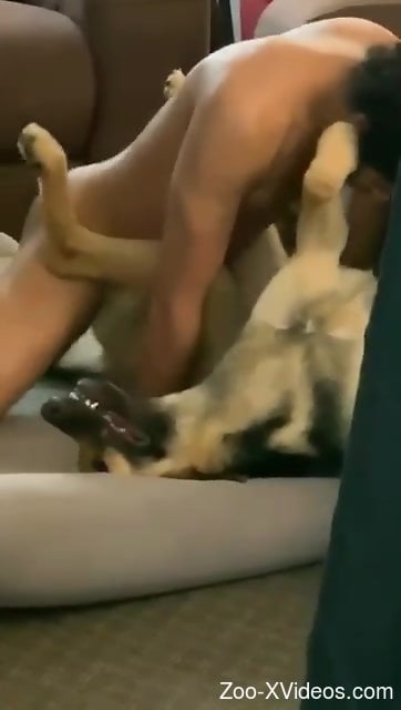 Dirty dog getting its pussy fucked by a horny dude