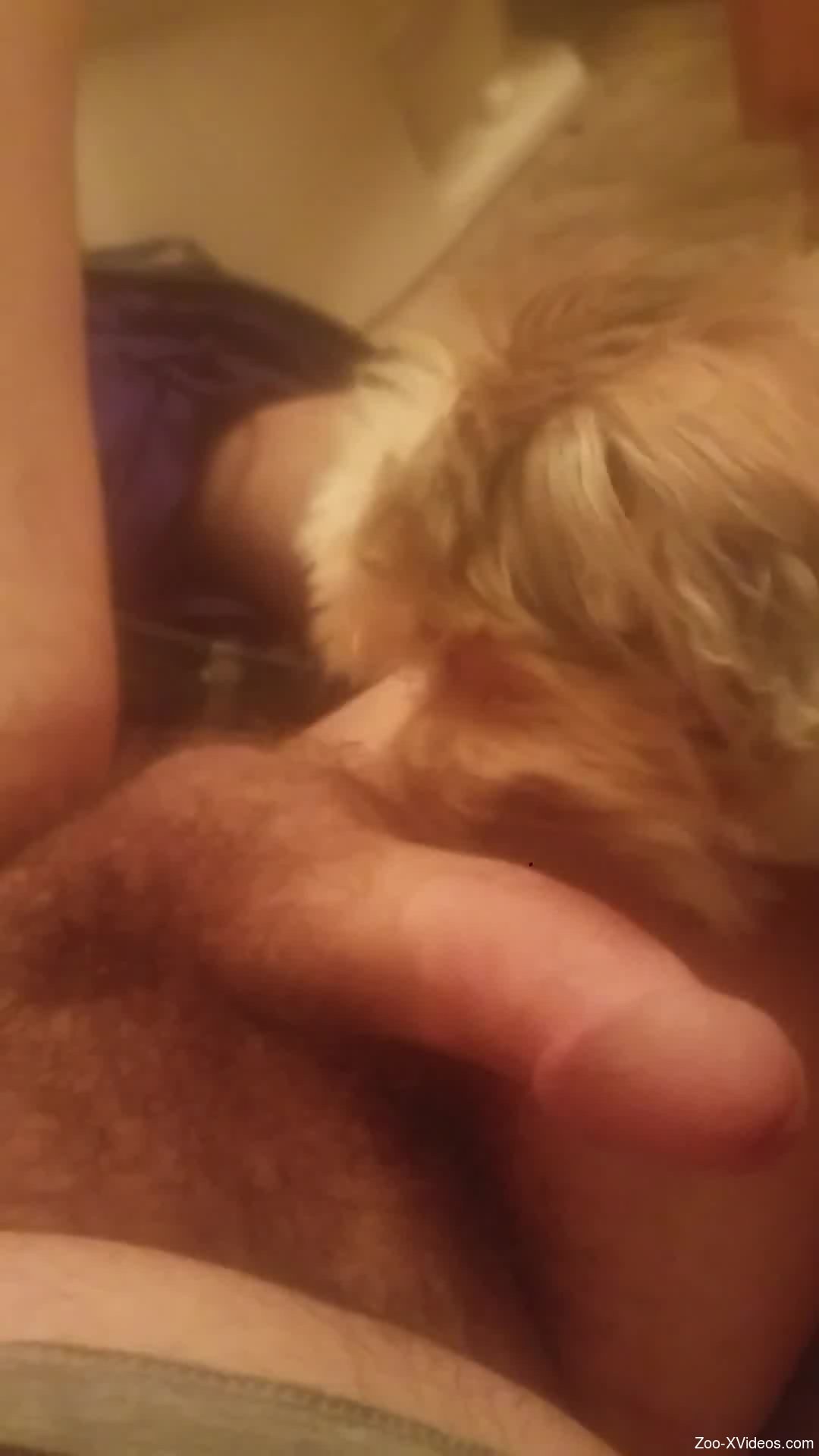 Dashing scenes when a dog licks the man's cock and balls