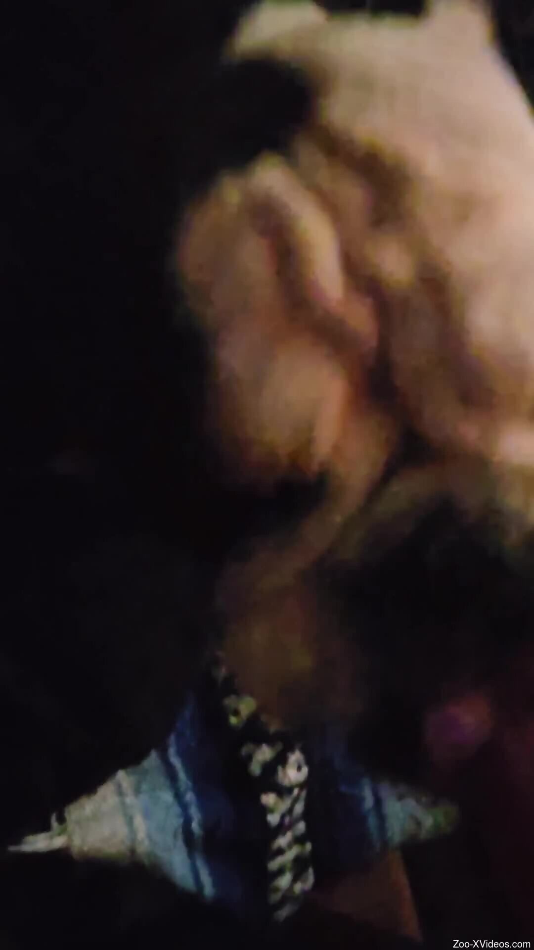 POV bulldog blowjob from the sexiest beast ever