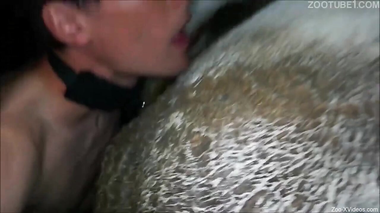 Amateur babe shares scat moments in her loud zoophilia play