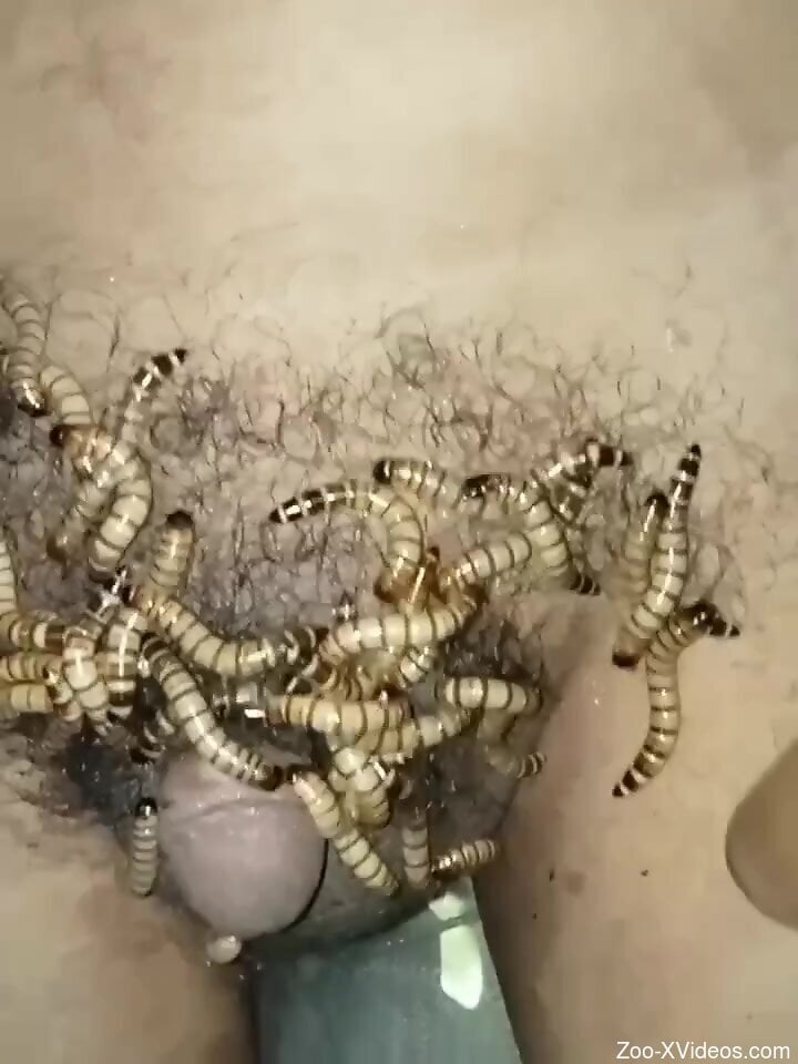 Solo man gets excited feeling worms on his dick