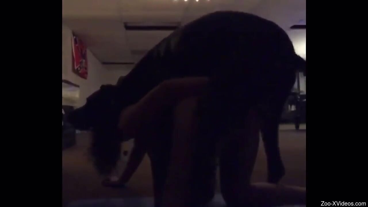 Awesome experience with a hottie that fucks dogs